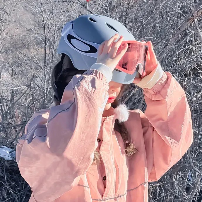 黑帮女婿